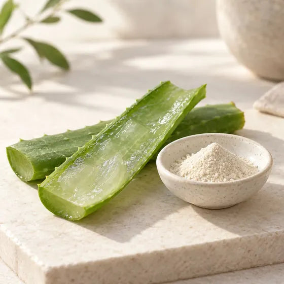 Aufgeschnittenes Aloe-Blatt